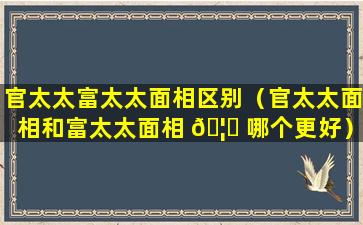 官太太富太太面相区别（官太太面相和富太太面相 🦊 哪个更好）